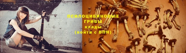 2c-b Алзамай