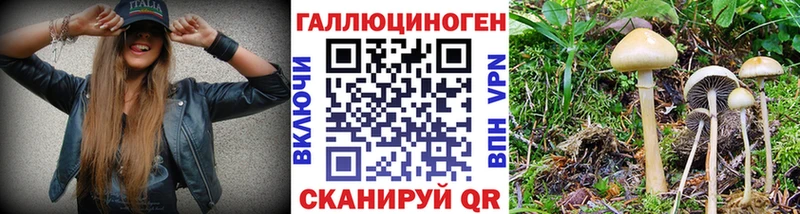 кракен как войти Нестеров Псилоцибиновые грибы прущие грибы